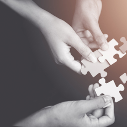 People with hands holding jigsaw pieces News Article