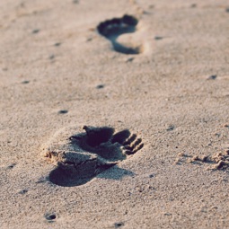 Footsteps in the sand News Article