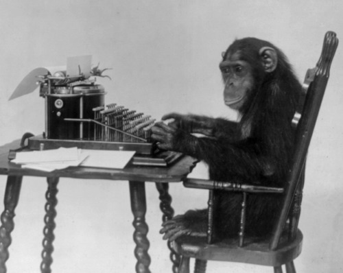 Chimpanzee Seated At Typewriter News Article